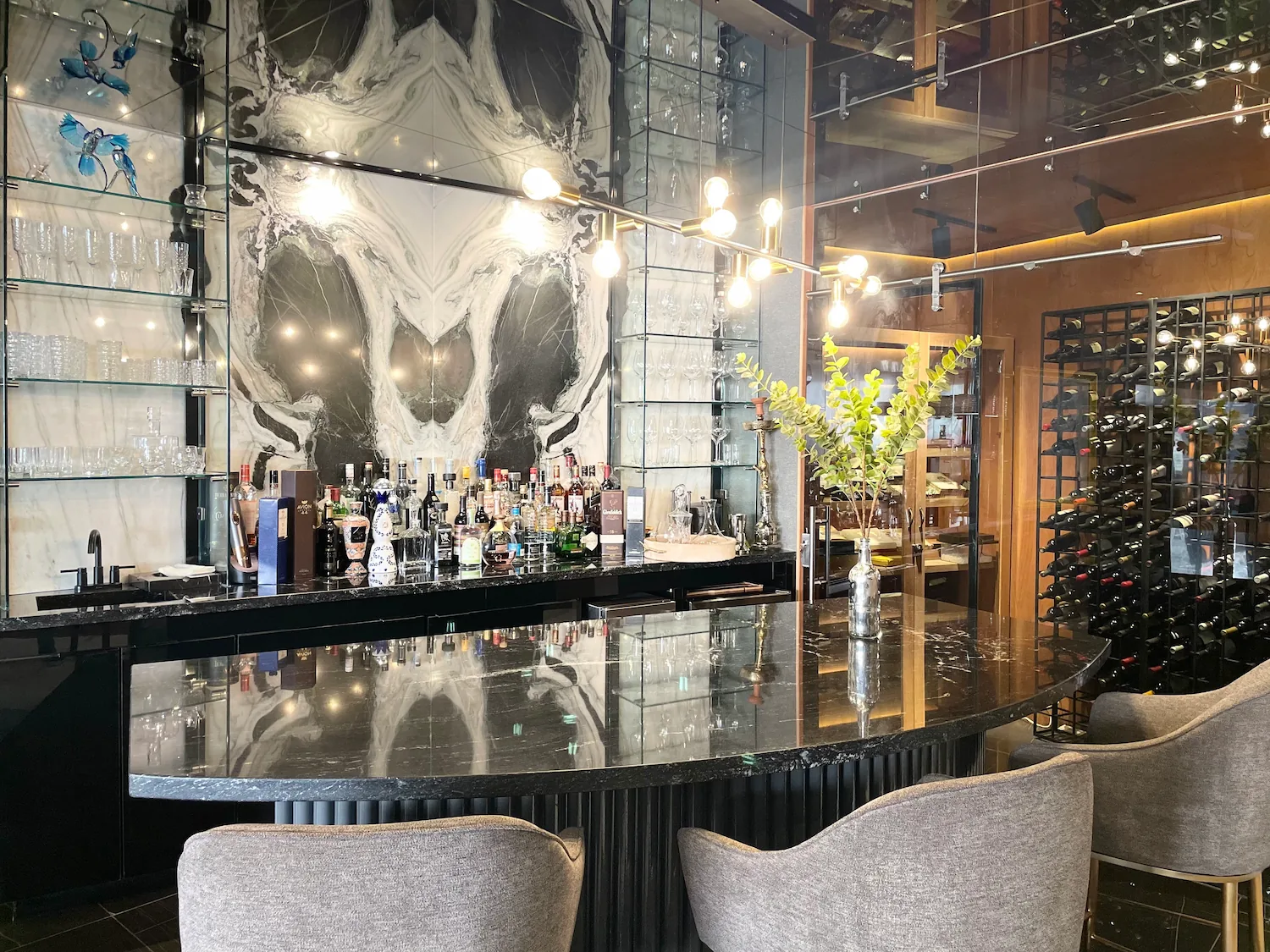 Estancia con barra y viñera